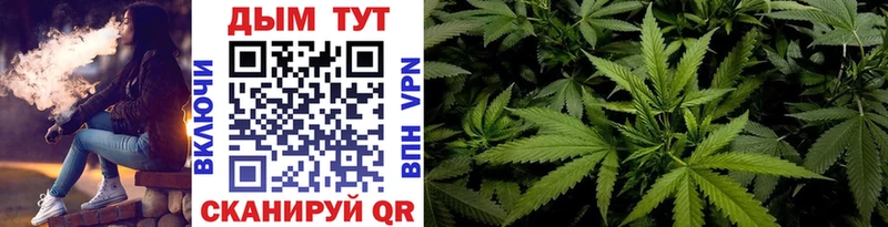 Где можно купить наркотики Котлас Галлюциногенные грибы Мефедрон Каннабис Alpha PVP