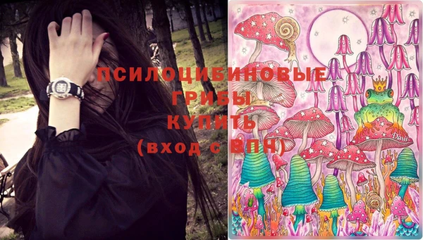 наркотики Белокуриха