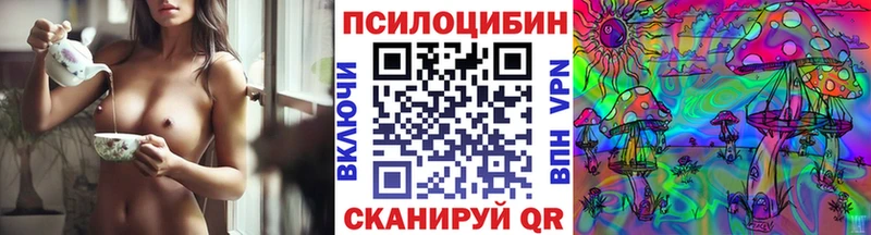 где найти наркотики  Котлас  Псилоцибиновые грибы Psilocybe 